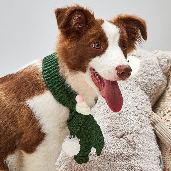 

Pom-pom Decor Knit Dog Scarf, Green
