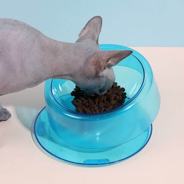 

Solid Adjustable Cat Bowl, Blue