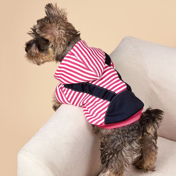 

Striped Dog Hoodie, Pink