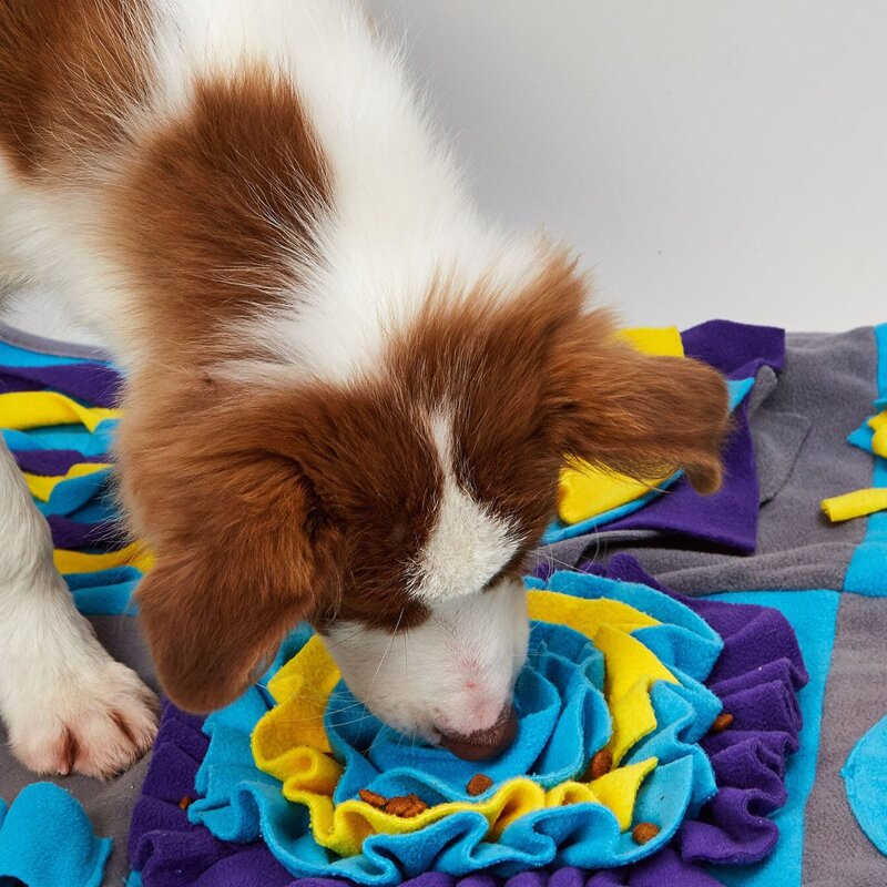 

Colorblock Dog Sniffing Pad, Multicolor