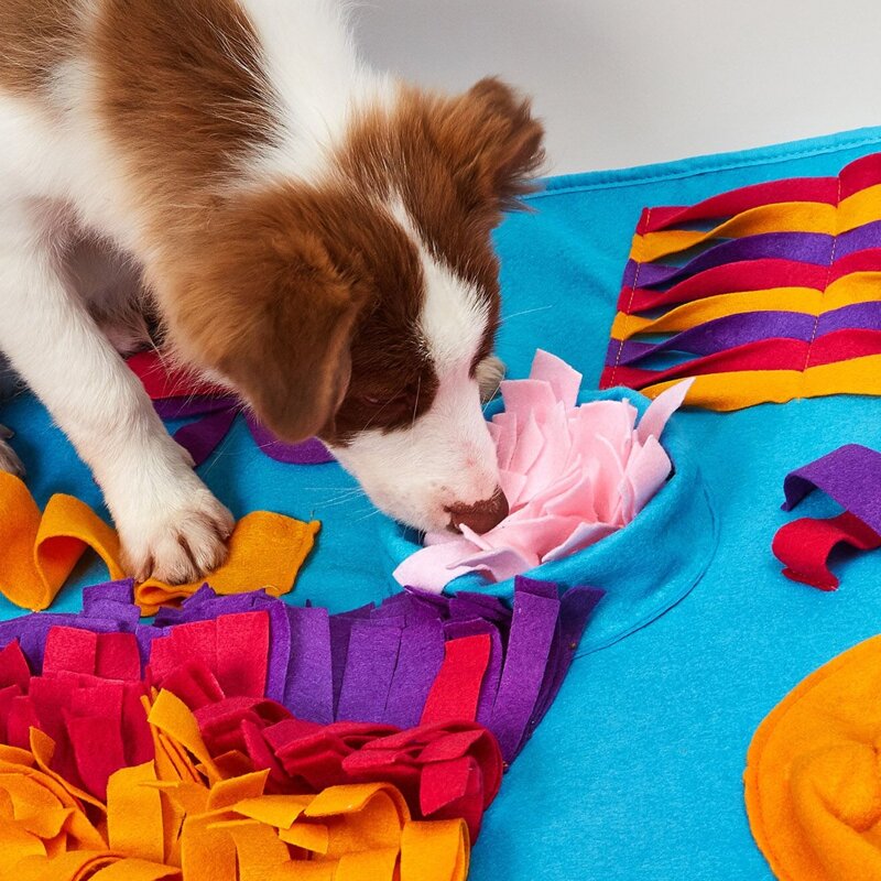 

Colorblock Dog Sniffing Pad, Multicolor
