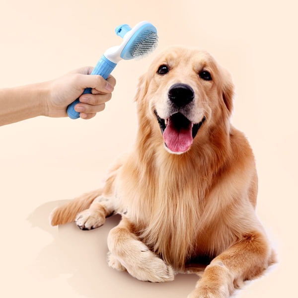 

Colorblock Detangling Dog Grooming Brush, Multicolor