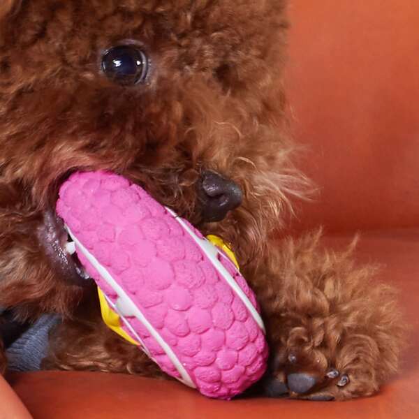 

Star Pattern Dog Sound Toy, Hot pink