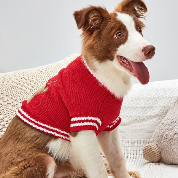 

Christmas Cartoon Graphic Knit Dog Sweater, Multicolor