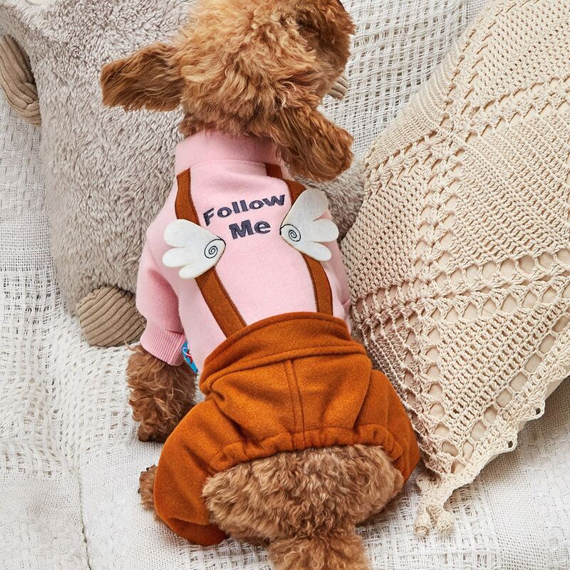 

Wings Decor Letter Graphic Dog Jumpsuit, Multicolor