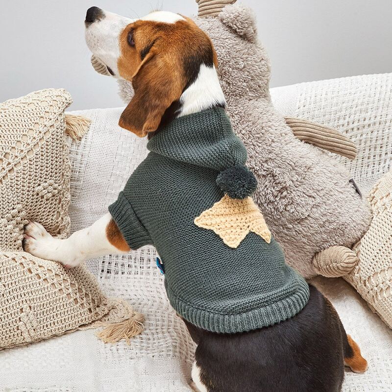 

Star Pattern Pom-pom Decor Hooded Dog Sweater, Multicolor