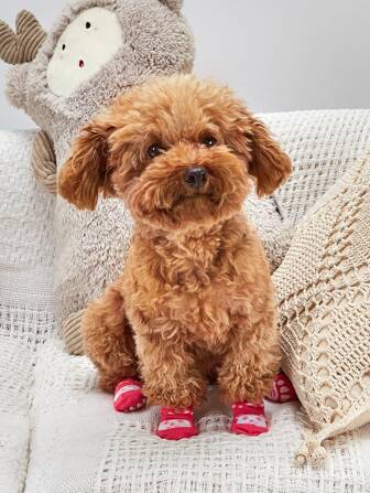 4pcs Non-slip Cartoon Graphic Dog Socks