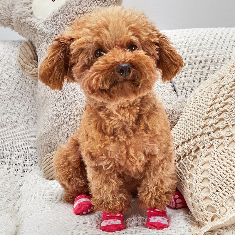 

4pcs Non-slip Cartoon Graphic Dog Socks, Multicolor