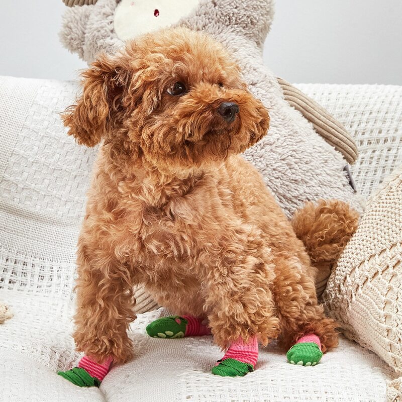 

4pcs Non-slip Cartoon Graphic Dog Socks, Multicolor