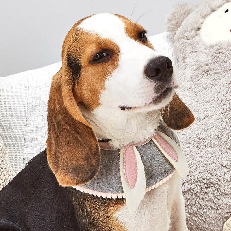 

3D Rabbit Ear Design Snap Button Dog Bandana, Multicolor