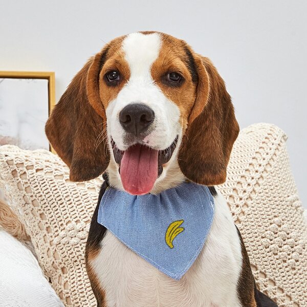 

Banana Print Dog Bandana, Blue
