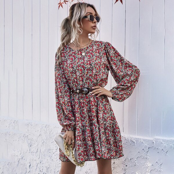 

Ditsy Floral Ruffle Hem A-line Dress Without Belt, Multicolor