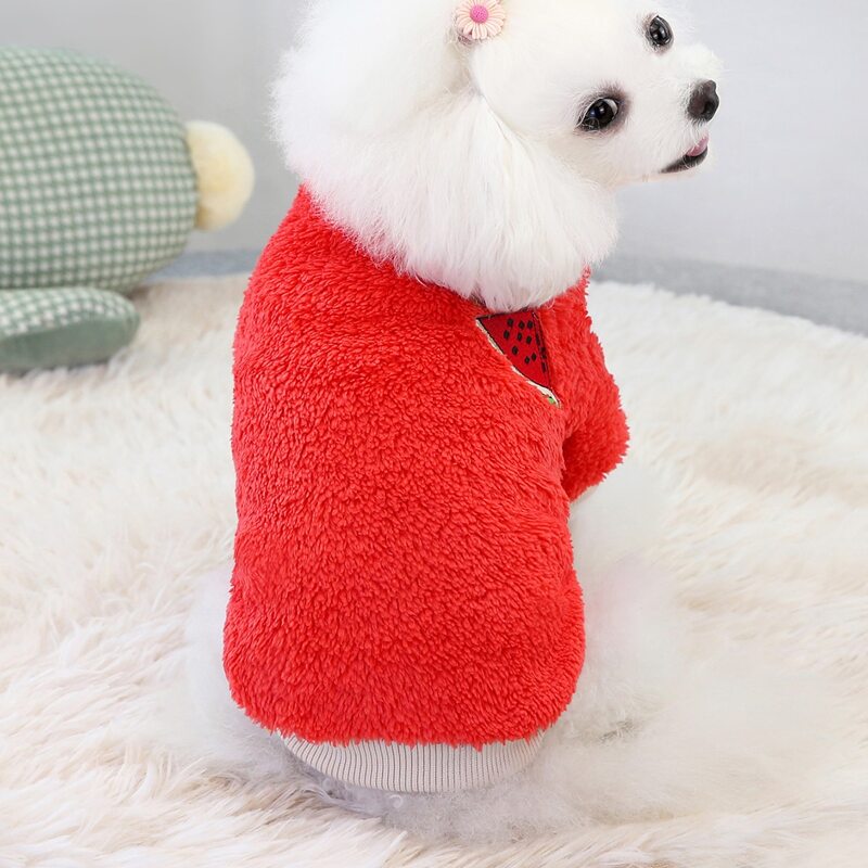 

Watermelon Embroidered Dog Sweatshirt, Red