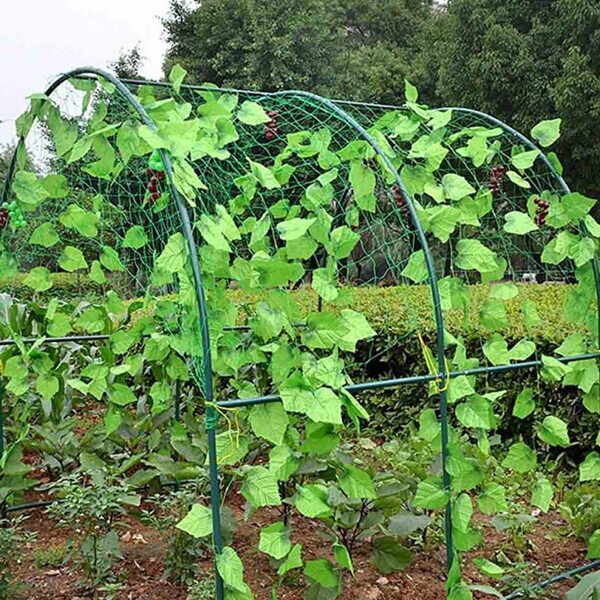 

1pc Plants Climbing Net, Green
