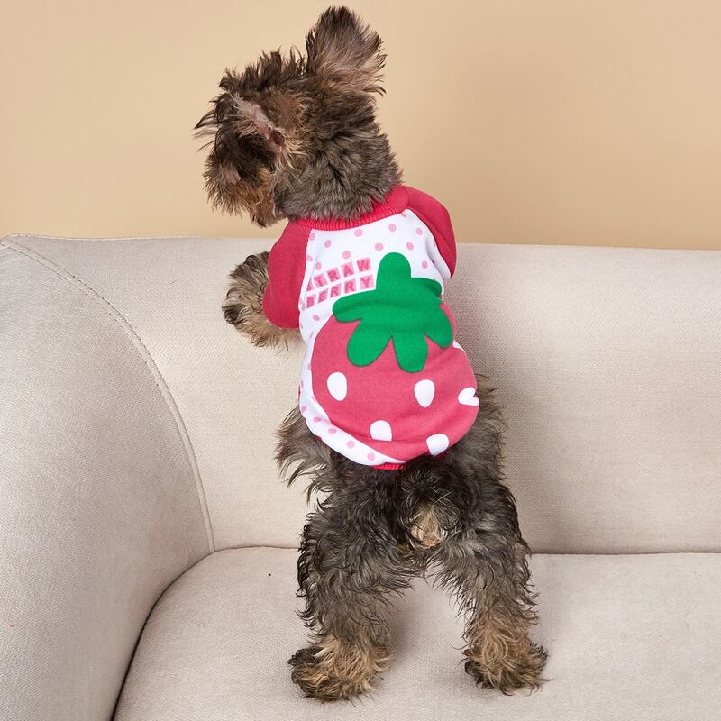 

Strawberry Pattern Dog Sweatshirt, Hot pink