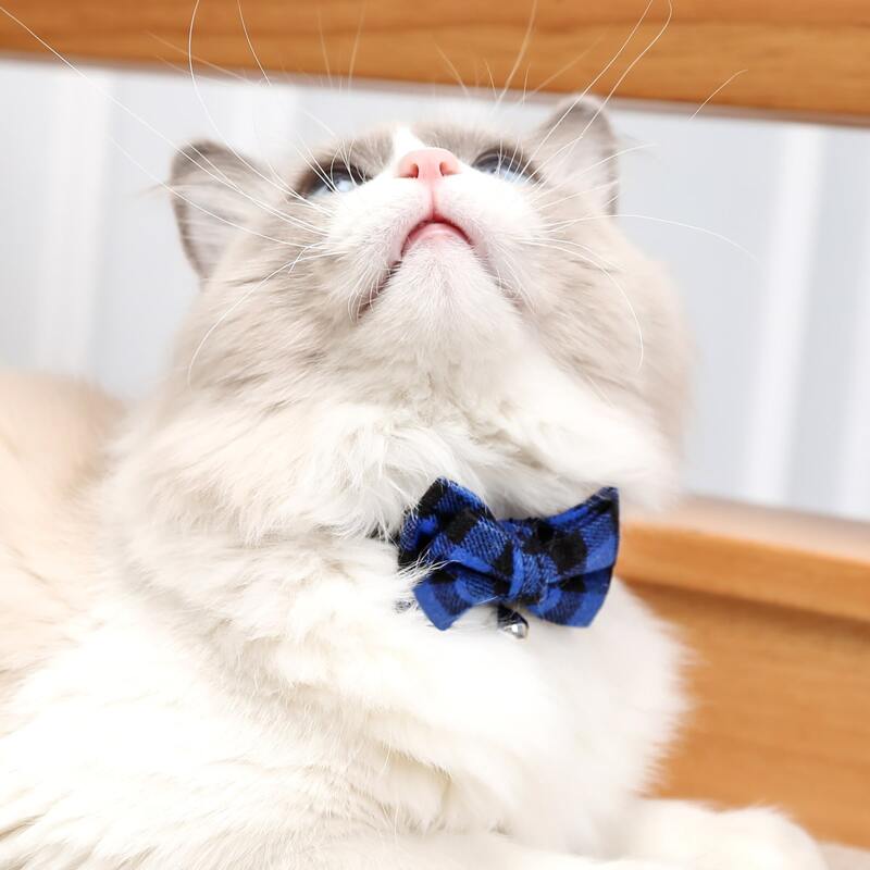 

Plaid Cat Bow Tie, Multicolor