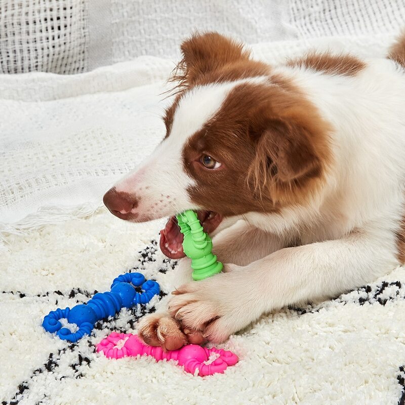 

1pc Random Color Lobster Shaped Dog Toy, Multicolor