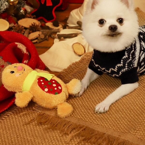 Christmas Cartoon Shaped Plush Dog Toy, Khaki