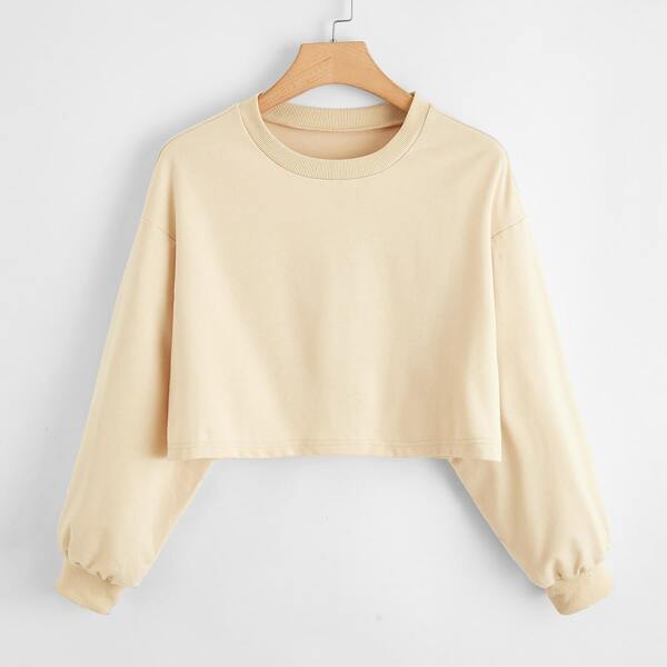 

Plus Drop Shoulder Crop Sweatshirt, Beige