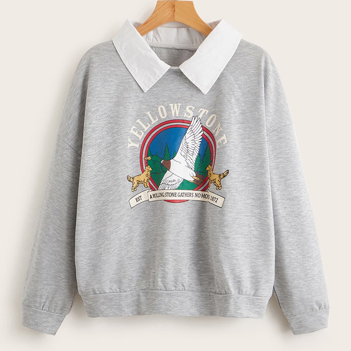 

Letter Eagle & Dog Graphic Oversized Sweatshirt, Light grey