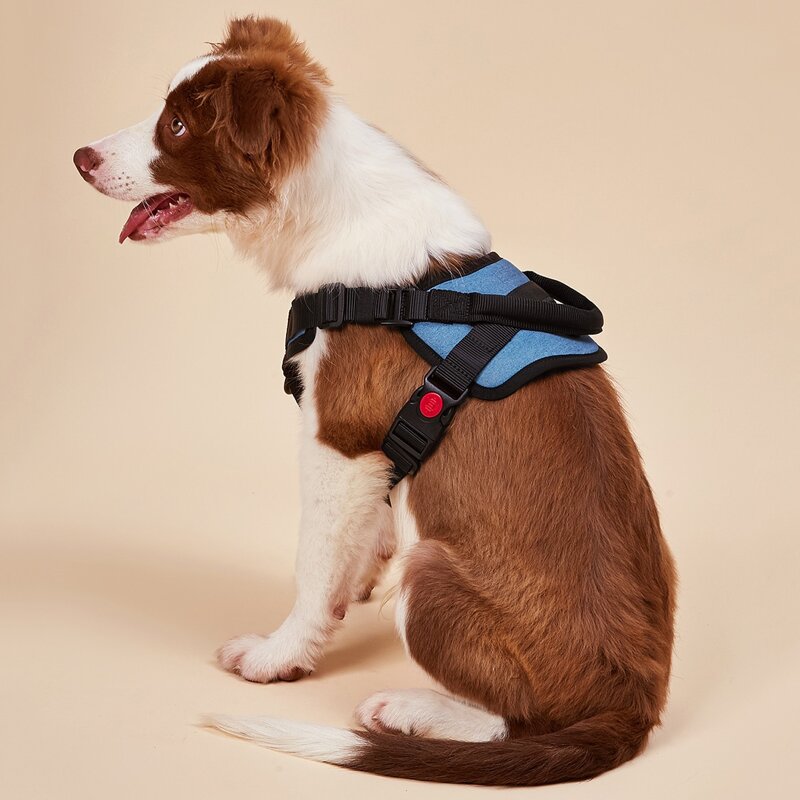 

Colorblock No Pull Dog Harness, Blue