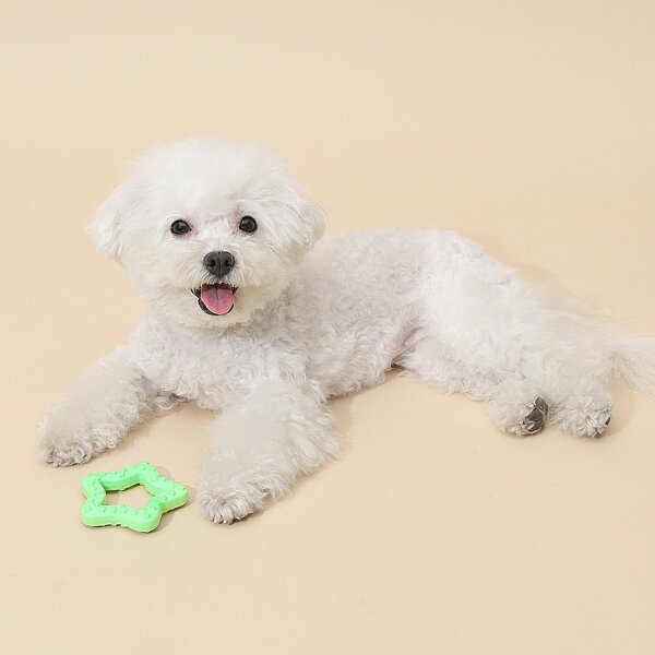 

Star Shaped Dog Toy, Green