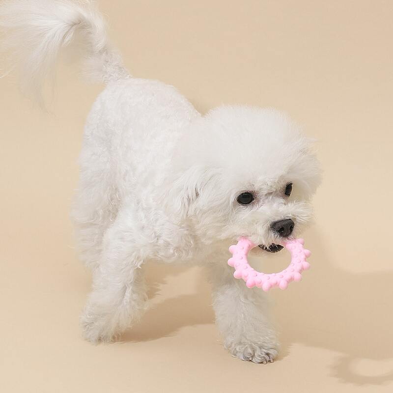

Solid Dog Toy, Pink