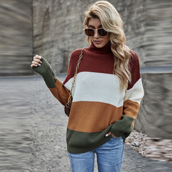 

Colorblock Turtleneck Drop Shoulder Sweater, Multicolor