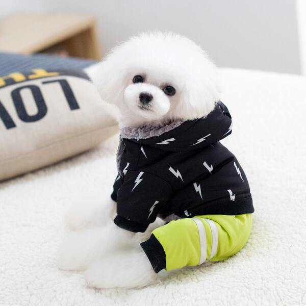 

Hooded Dog Jacket, Black