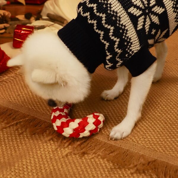 

Christmas Colorblock Cotton Rope Dog Chew Toy, Red