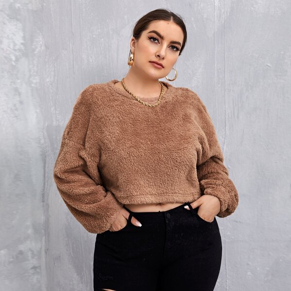 

Plus Drop Shoulder Teddy Crop Pullover, Brown