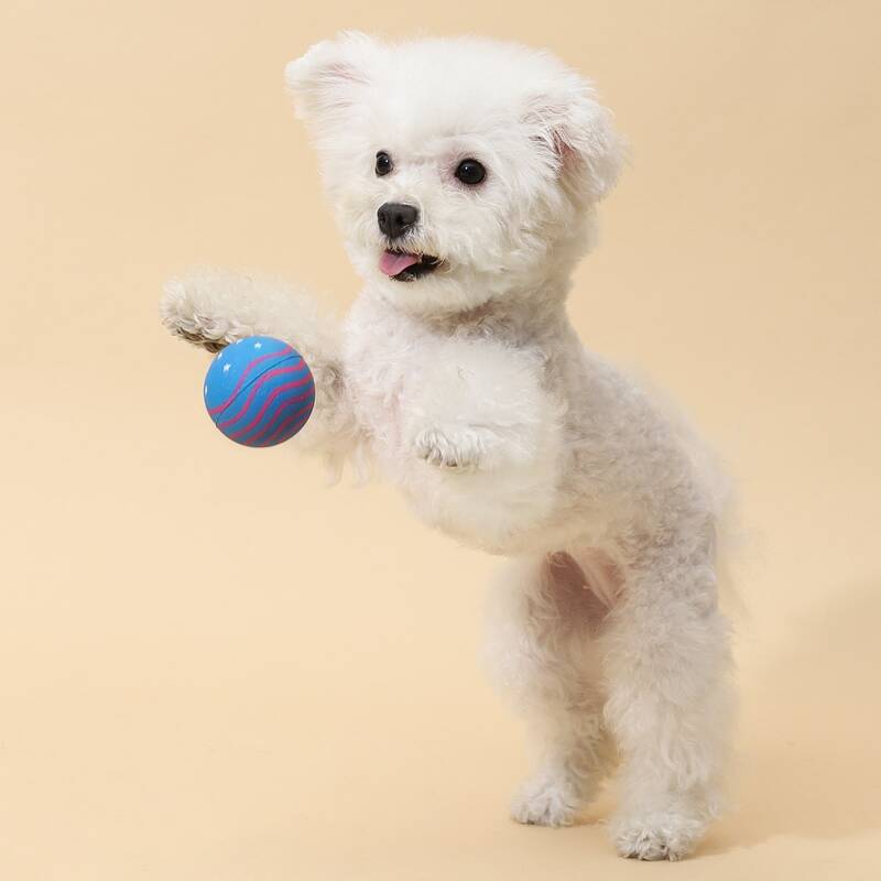 

Star Pattern Rubber Dog Toy Ball, Blue