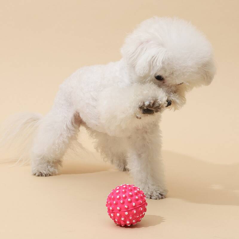 

Two Tone Dog Rubber Ball, Pink