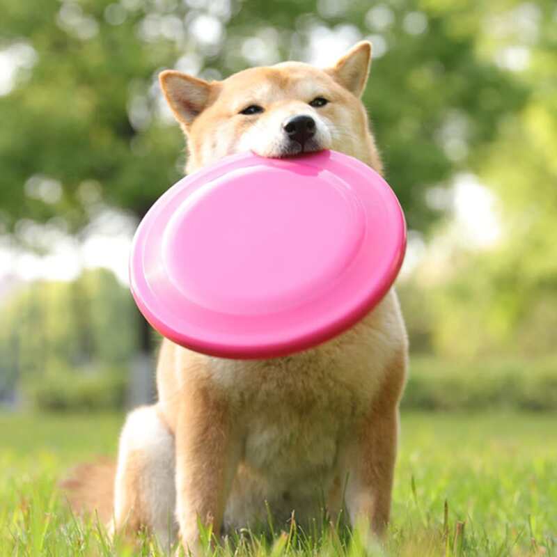 

1pc Random Color Solid Dog Frisbee Toy, Multicolor