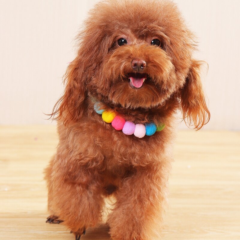 

1pc Colorful Pom-pom Beaded Dog Necklace, Multicolor
