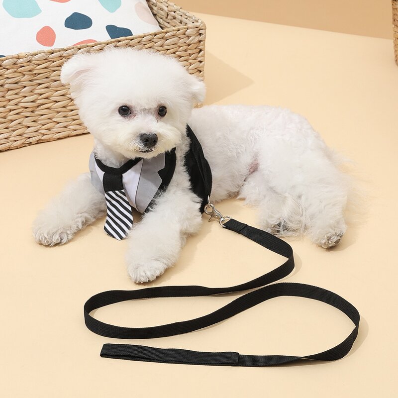 

1pc Tie Decor Dog Harness & 1pc Dog Leash, Black