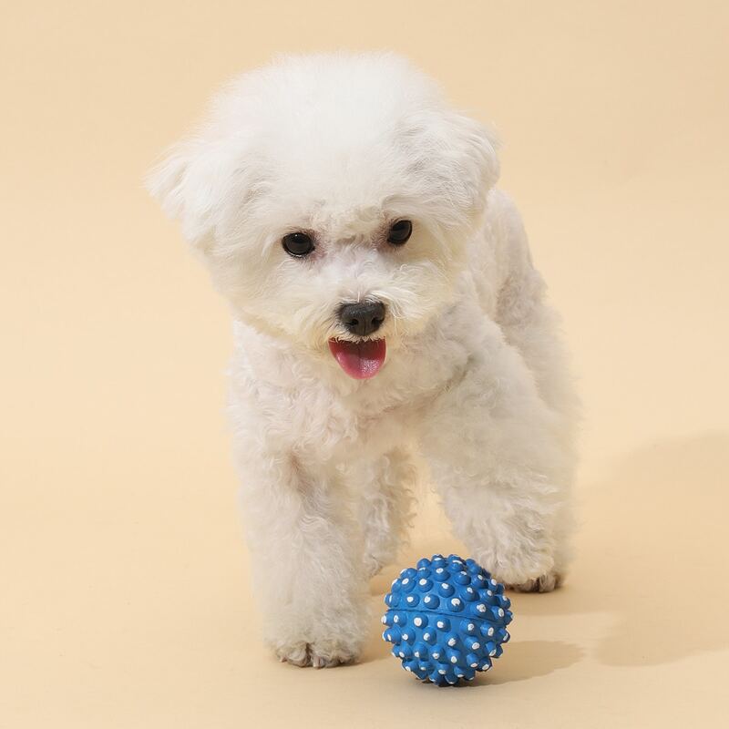 

Two Tone Dog Rubber Ball, Blue