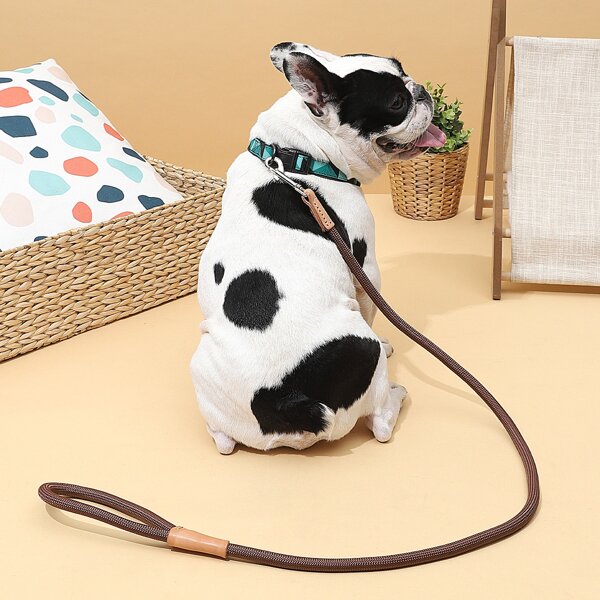 

1pc Simple Dog Leash, Brown
