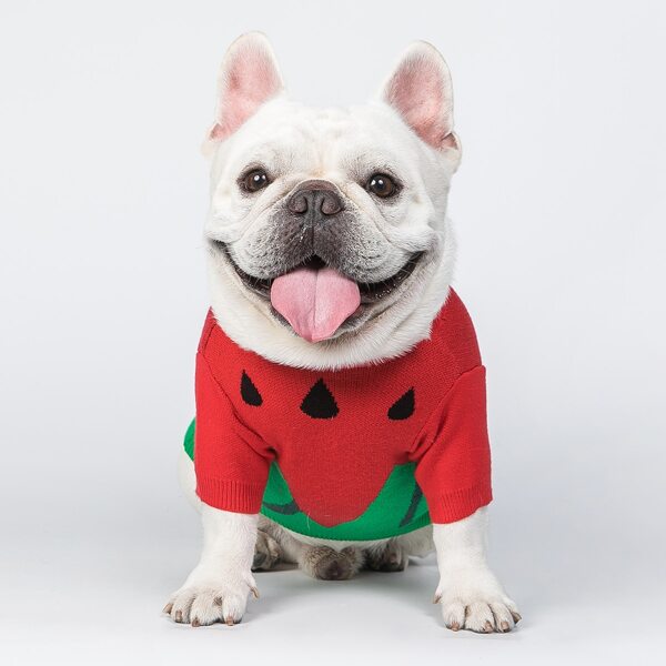 

Watermelon Pattern Dog Sweater, Multicolor