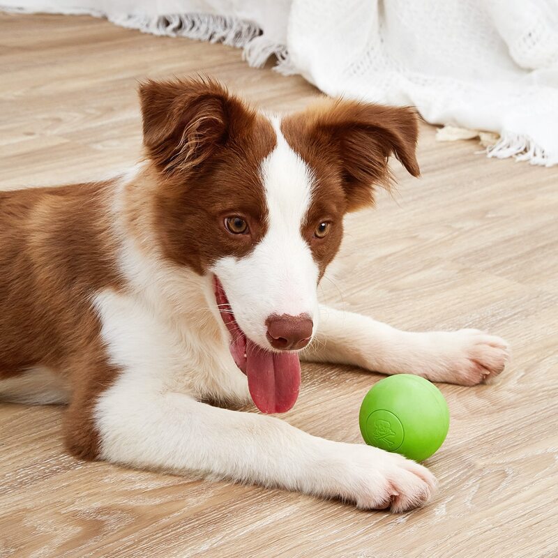 

Skull Pattern Dog Toy Ball, Green