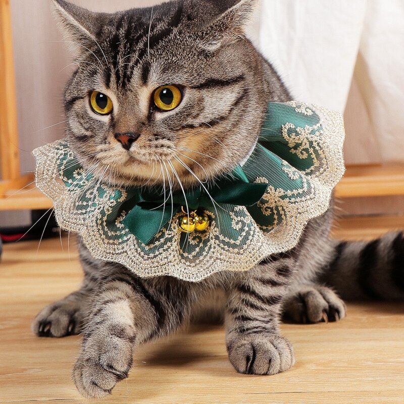

Bow Decor Lace Cat Bandana, Dark green