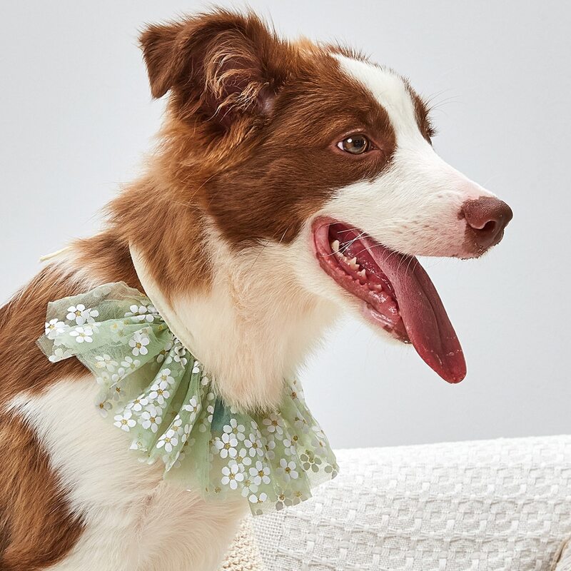 

Floral Mesh Dog Necklace, Multicolor