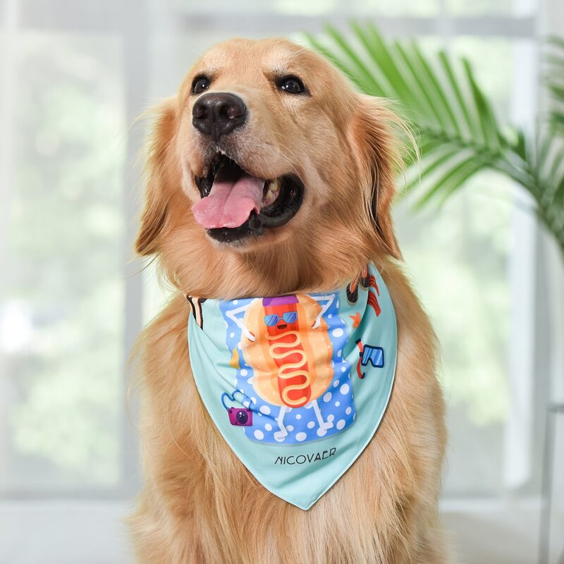 

Hot Dog Cartoon Graphic Dog Bandana, Mint blue