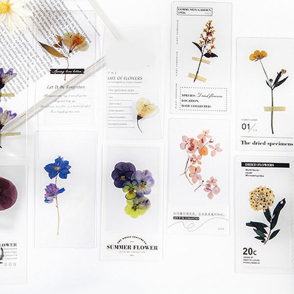 

10pcs Mixed Pattern Random Decorative Card, Multicolor