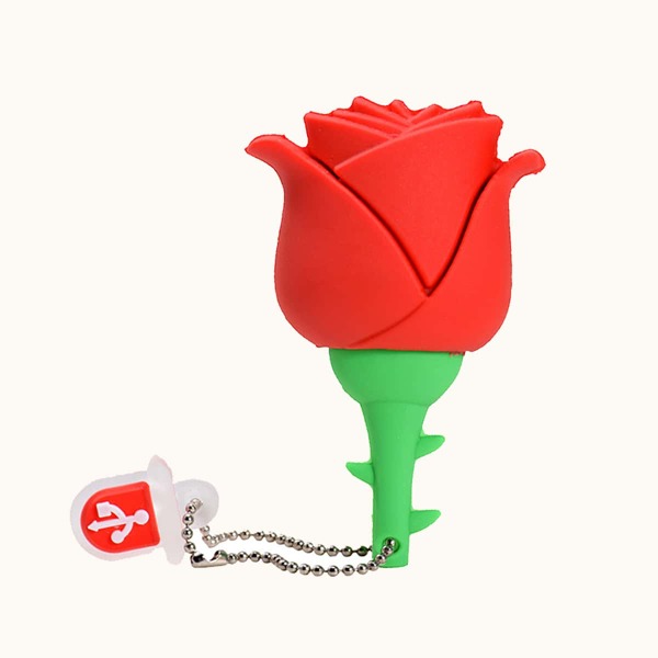 

USB флэш-драйверы Одноцветный, Красный