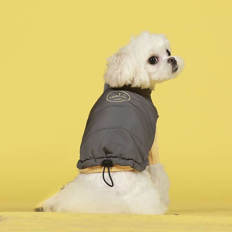 

Letter Graphic Dog Jacket, Dark grey