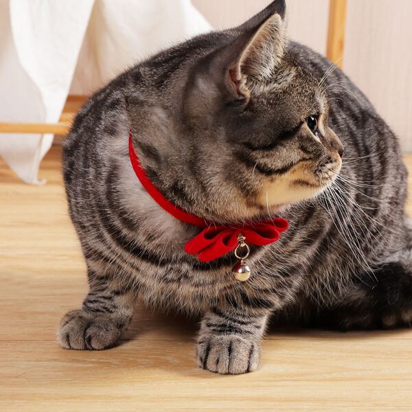 

Velvet Bow Decor Cat Collar, Red