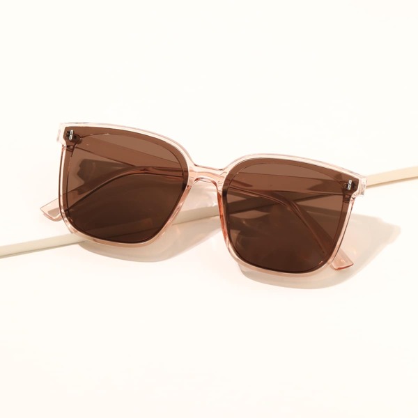 

Clear Frame Tinted Lens Sunglasses