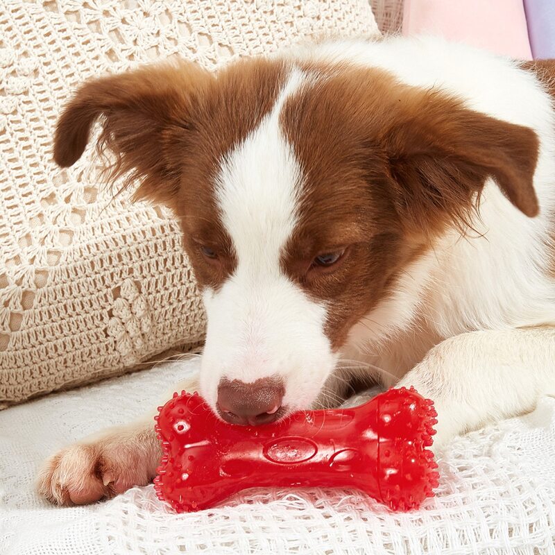 

Bone Shaped Dog Chew Toy, Red