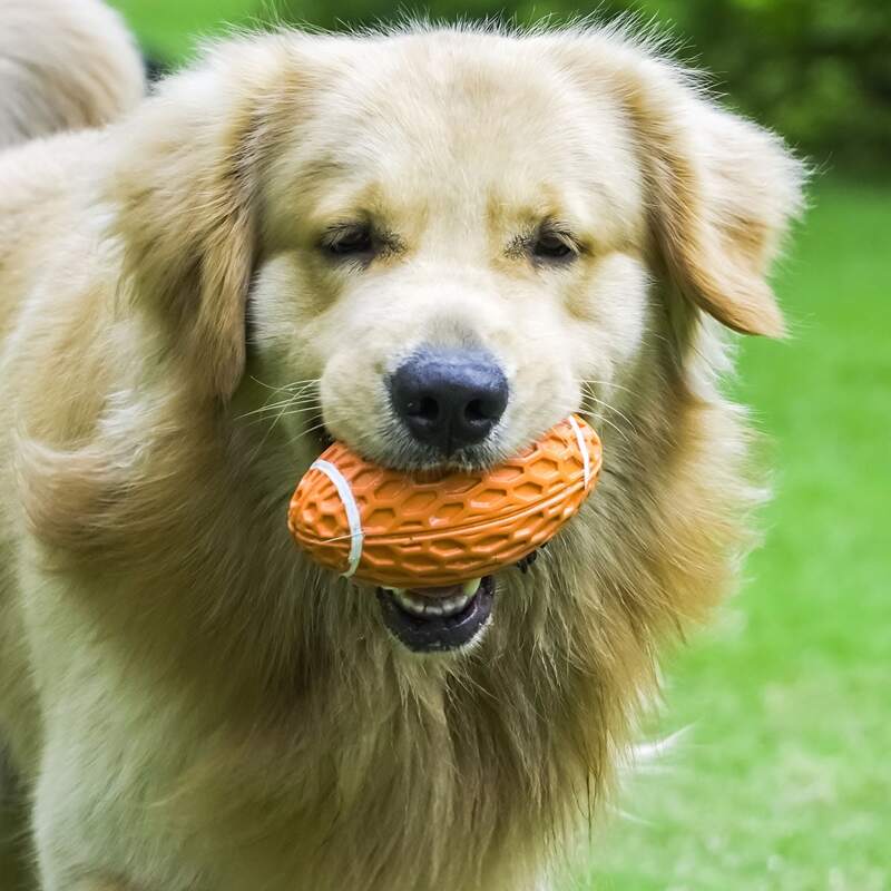 

Rugby Shaped Dog Sound Toy, Orange